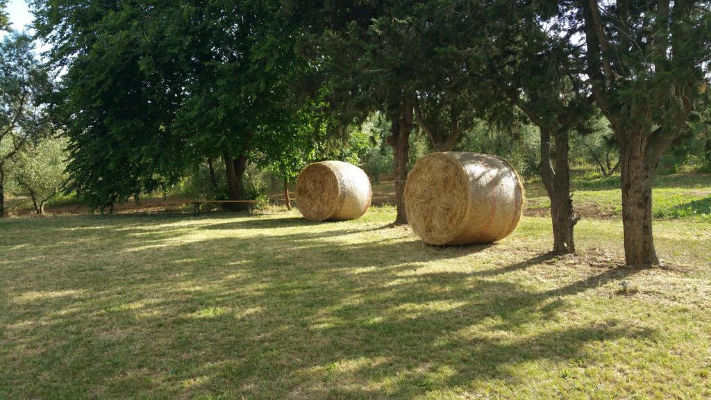Agriturismo La Dolce Collina Villa Follonica Bagian luar foto